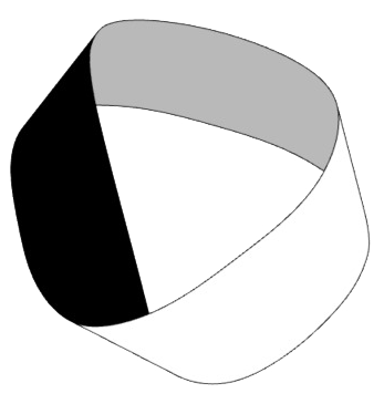Logo transparent